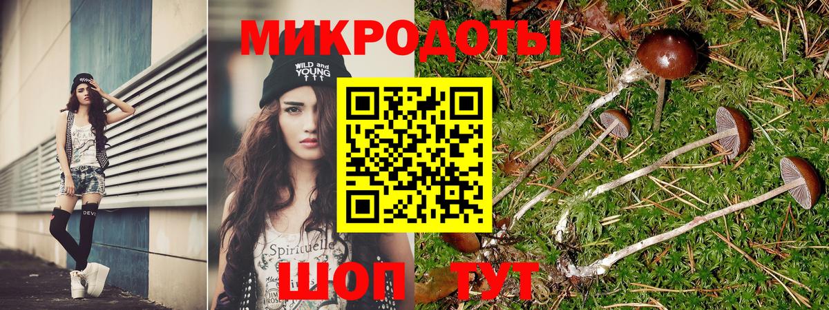 купить наркоту  Псилоцибиновые грибы GOLDEN TEACHER  Вход с VPN  Электросталь 
